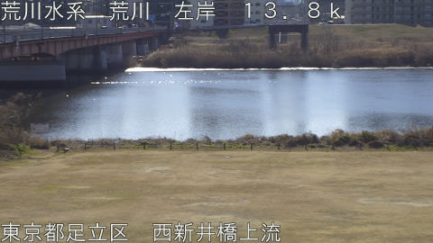 arani2026020211_image