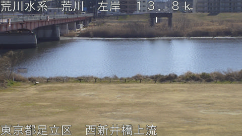 arani2026020213_image