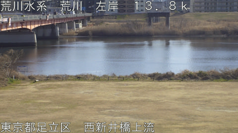 arani2026020214_image