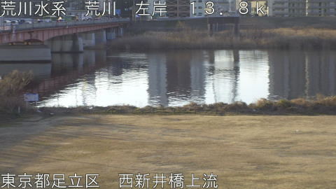 arani2026020408_image