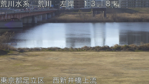 arani2026020409_image