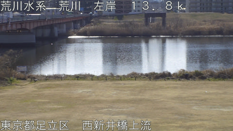 arani2026020411_image