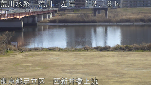 arani2026020414_image