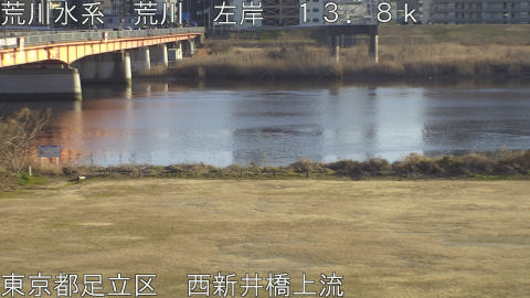 arani2026020416_image