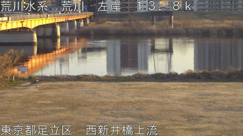 arani2026020417_image