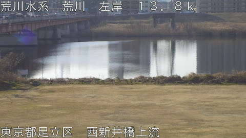 arani2026020509_image