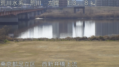 arani2026020511_image