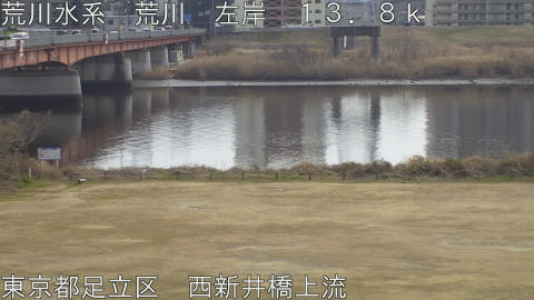 arani2026020513_image