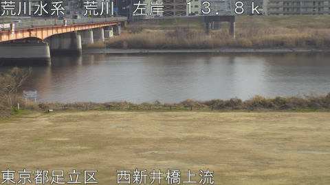 arani2026020515_image