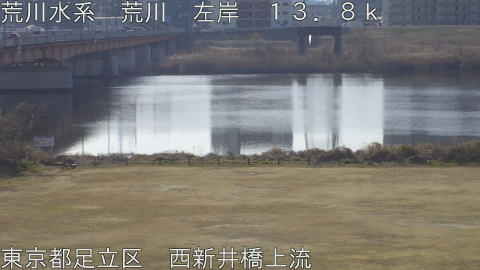 arani2026020610_image