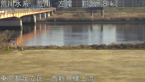 arani2026020616_image