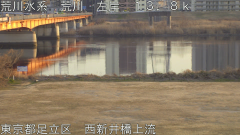 arani2026020617_image