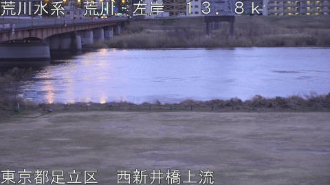 arani2026020707_image