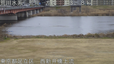 arani2026020709_image