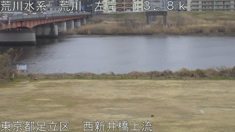 arani2026020713_image