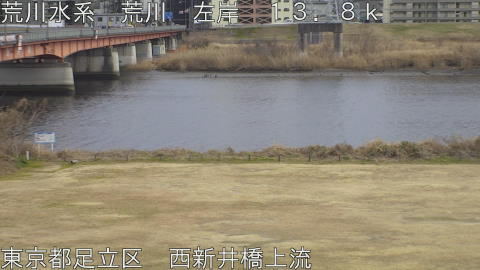 arani2026020716_image