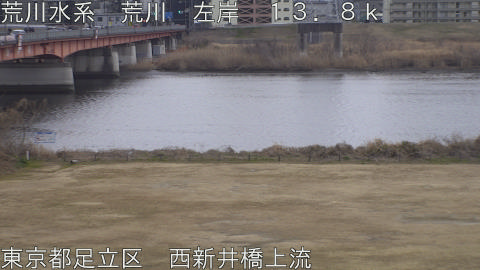 arani2026020717_image