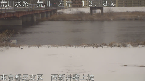 arani2026020808_image