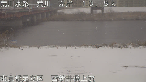 arani2026020809_image