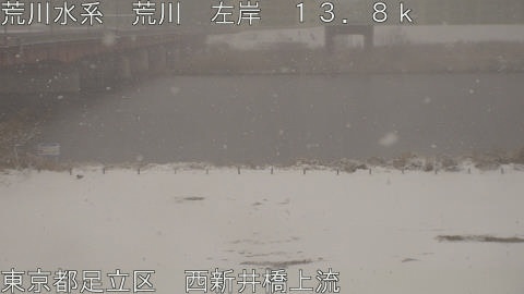 arani2026020810_image