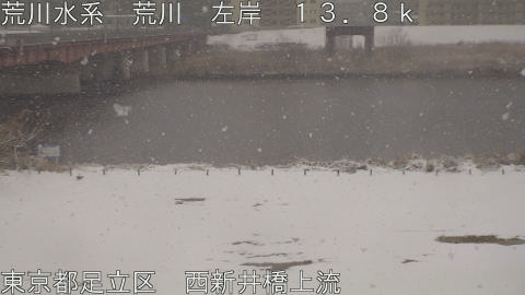 arani2026020812_image