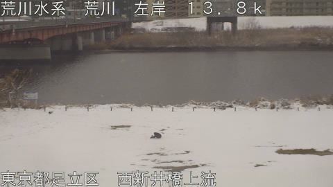 arani2026020813_image