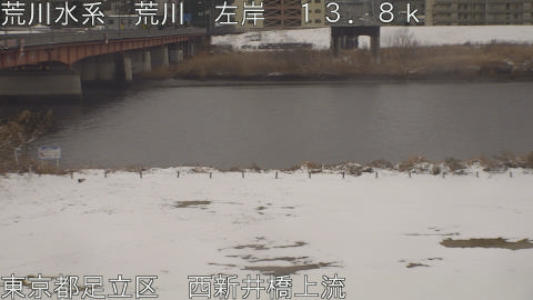 arani2026020814_image