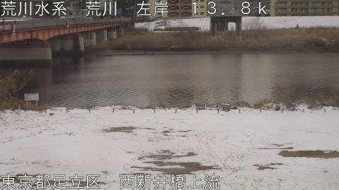 arani2026020816_image