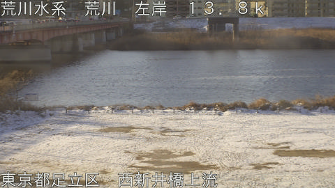 arani2026020908_image