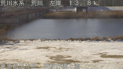 arani2026020909_image