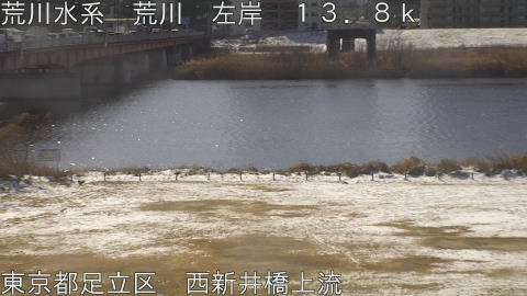 arani2026020910_image