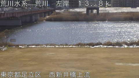 arani2026020912_image