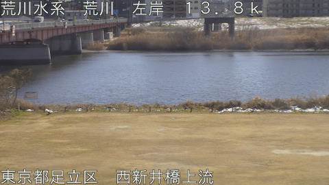 arani2026020913_image