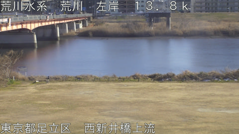 arani2026020915_image