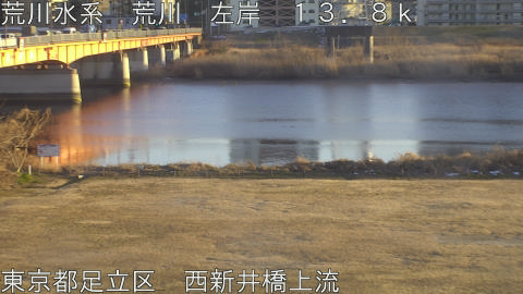 arani2026020917_image