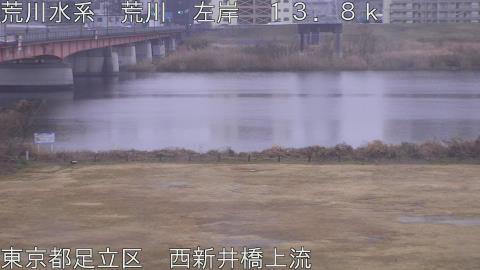 arani2026021108_image