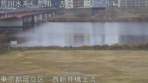 arani2026021109_image