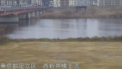 arani2026021111_image