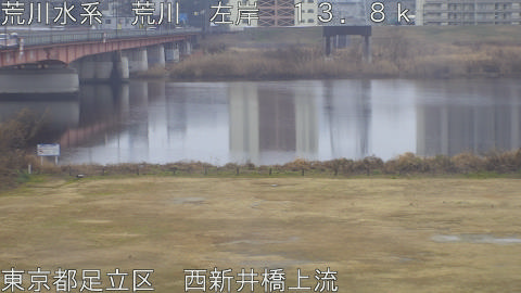 arani2026021112_image