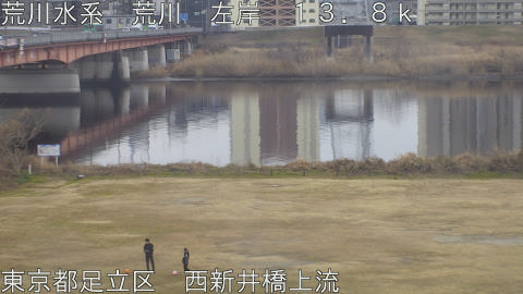 arani2026021115_image