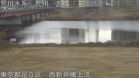 arani2026021209_image