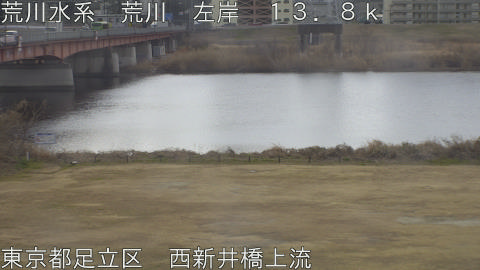 arani2026021211_image