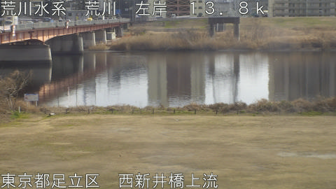 arani2026021214_image