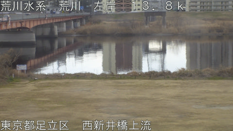 arani2026021215_image