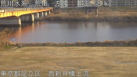 arani2026021217_image