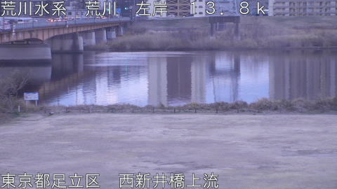 arani2026021307_image