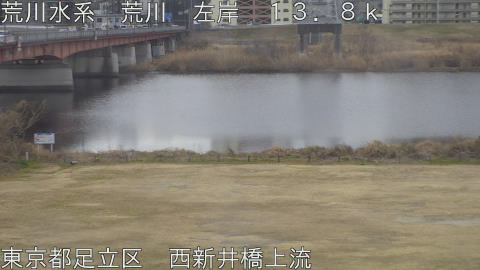 arani2026021310_image