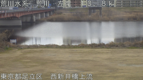 arani2026021311_image