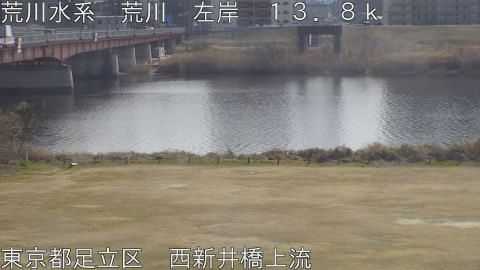 arani2026021313_image