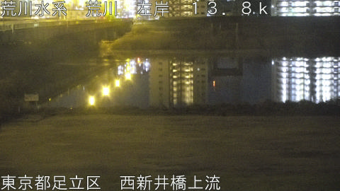 arani2026021405_image